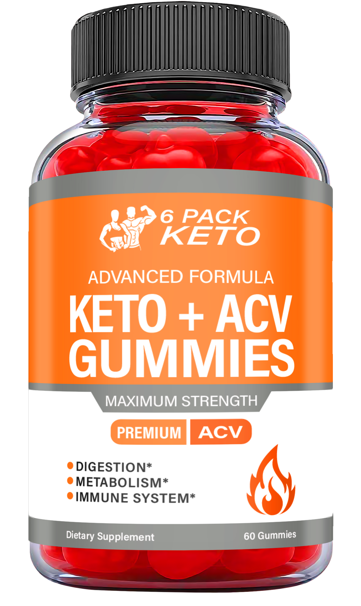 6 Pack ACV Keto Gummies